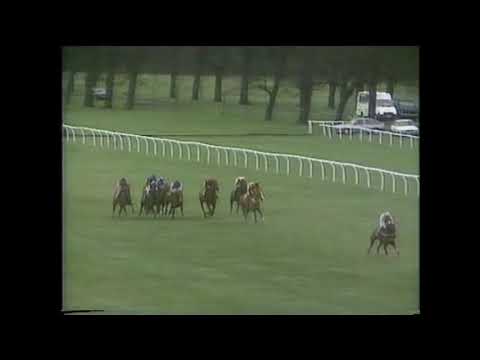 1990 Royal Garden Hotel Handicap Hurdle Kempton