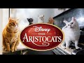 The Aristocats Fanmade Live Action Teaser Trailer Concept 2026 Disney Movie HD