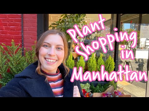 Come Plant Shopping with me in Manhattan, New York!