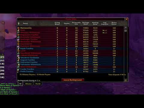 So I bought the S3 2H /// WoW TBC 2H Enhancement Shaman PVP