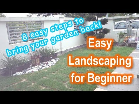 Easy Landscaping for Beginner