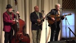 Tommy Edwards & The Bluegrass Experience - Salty Dog Blues