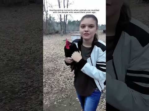 memorable moment. #animals #love #wildliferescue #animalfriendship #pets #rescue #animalshorts