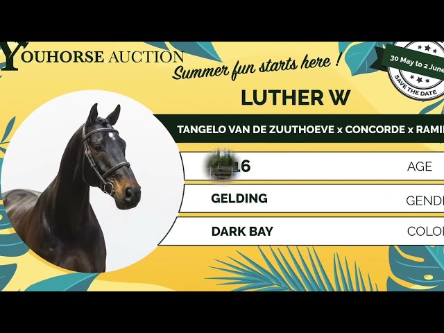 Luther showvideo