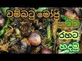 වම්බටු මෝජු රසට හදන හැටි Wambotu Moju Vambatu Moju Brinjal M