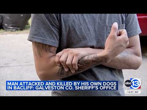 Man attacked and killed by his own dogs in Bacliff, Galveston County Sheriff's Office says