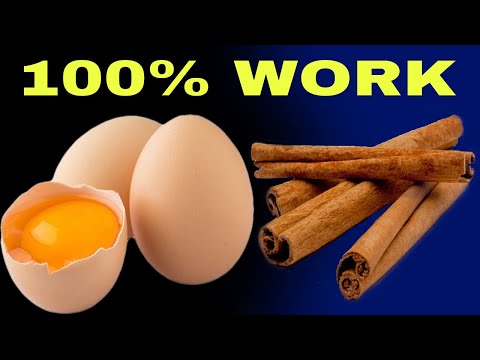 Try this simple recipe, egg yolk, olive oil, cinnamon and honey, the result is incredible.