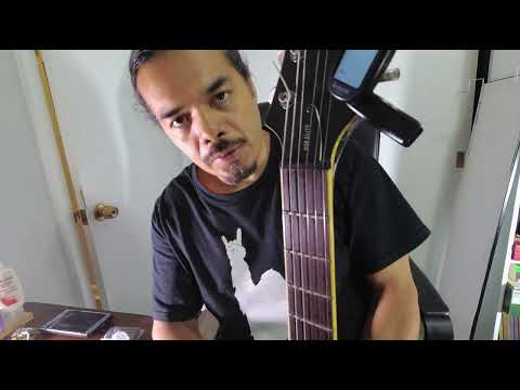 How to Use the Donner Guitar Tuner with Your Electric Guitar | Easy Tutorial