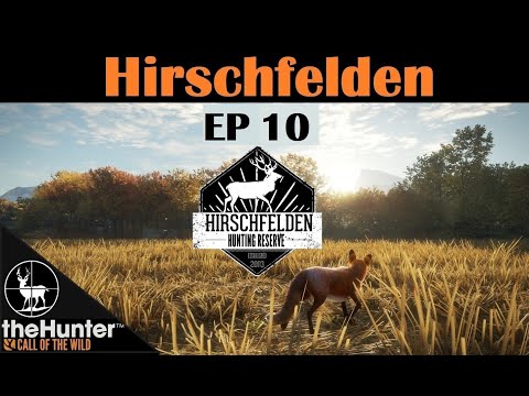(EP10) Sommer: The Fox And The Scope | Hirschfelden Reserve | theHunter Call Of The Wild