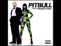 14 Daddy's Little Girl- Pitbull Featuring Slim 