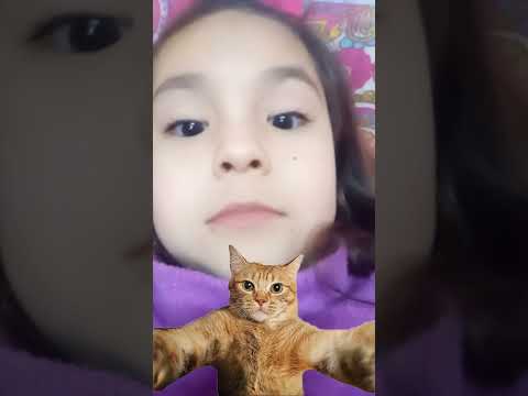 11 de agosto de 2024