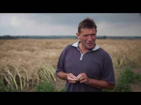 Jörg Nitzsche - Hanfbauer