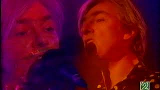 ROBYN HITCHCOCK Chinese Bones