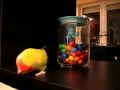 Elmo And The M M AVI