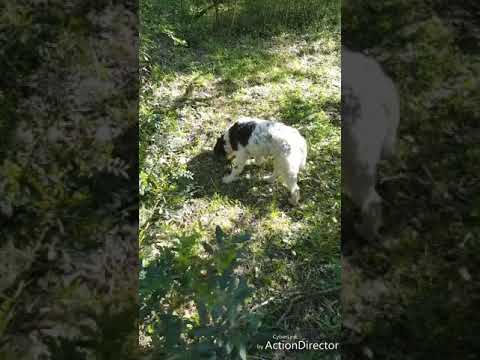 Come raccogliere lanalisi un calla su uova un verme a bambini Su che la luna guidare vermi