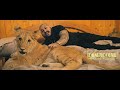 Dani Mocanu 🦁 Greva foamei 🌹Official Video Dani Mocanu 🦁 Greva foamei 🌹Official Video