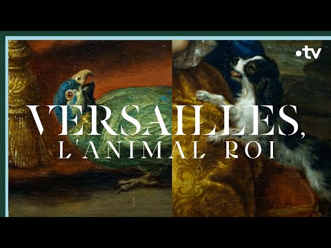Versailles : l'animal roi - Culture Prime