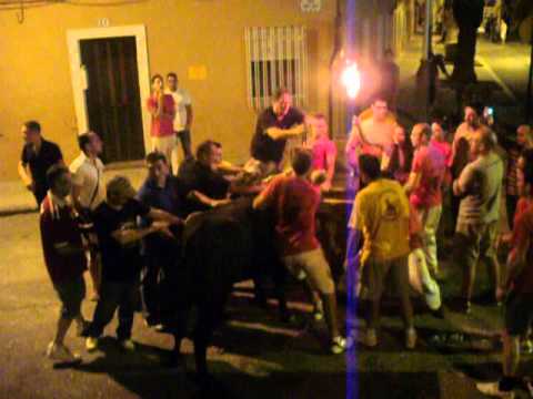 ALMASSERA 2012 25