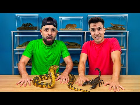 Invinge-ti Frica si NU te misca ! *cu Animale Reale*