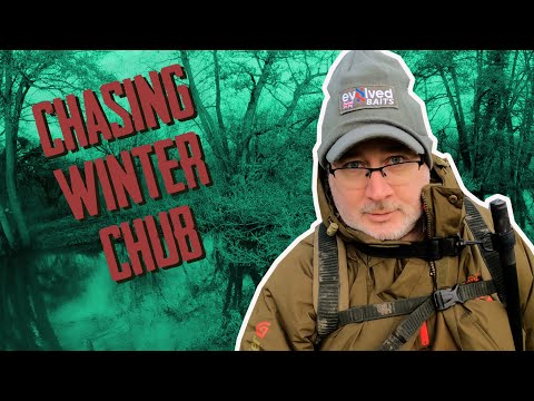 Winter chub fishing tactics
