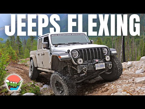 JEEPS DO THIS BETTER THAN ANYTHING ELSE! Jeep Gladiator Ecodiesel