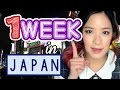 1 Week In TOKYO Japan Trip Plan Best Way To Plan Your JAPAN Trip