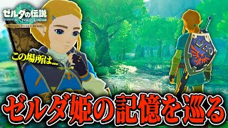 【ティアキン】ゼルダが語る『始まりの台地』の記憶を調査してみた結果....声の記憶 part1【ゼルダの伝説 ティアーズオブザキングダム実況】