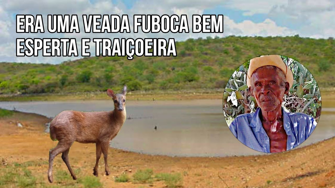Véi Dico conta um de seus melhores causos de caçada de veado #veado #caatinga #caçadas