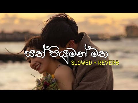 සත් පියුමන් මත | Slowed + Reverb #sinhalasongs #sinhalaslowedreverb #slowedandreverbsinhala