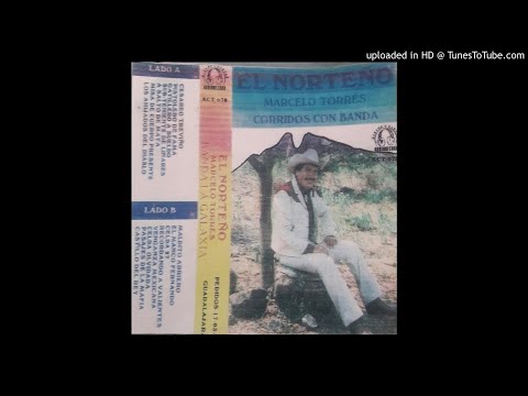 MARCELO TORRES Mi Terruño