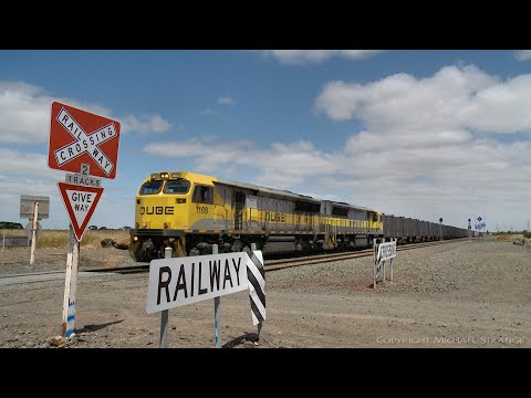 7962V QUBE Viterra Containerized Grain Train (10/12/2020) - PoathTV Australian Railways