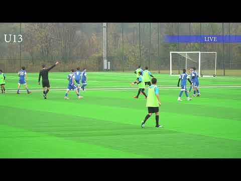 HD final fc samtredia 2-0 iveria