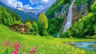 🌵 Calm The Nervous System 🌿 Soothing The Heart And Blood Vessels With Gentle Melodies - Relaxes #6