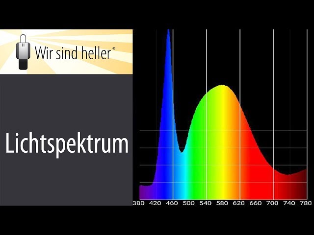 Almanca'de Auswirkung Video Telaffuz