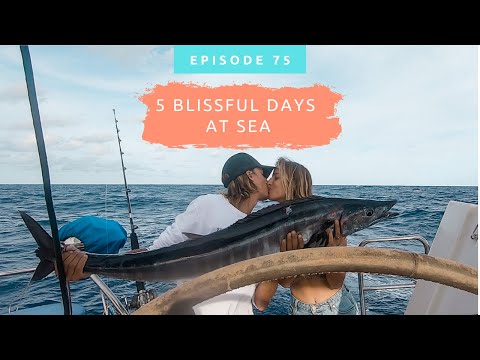 A Glamour of a Sail to Fiji 🥂~ Vlog 75 Video