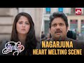 Nagarjuna Meets His Ex Girfriend S Family Oopiri Nagarjuna Karthi Anushkha Sun NXT Telugu