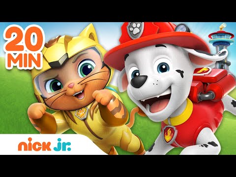 PAW Patrol Best Cat Pack Rescues & Adventures! | 20 Minute Compilation | Nick Jr.