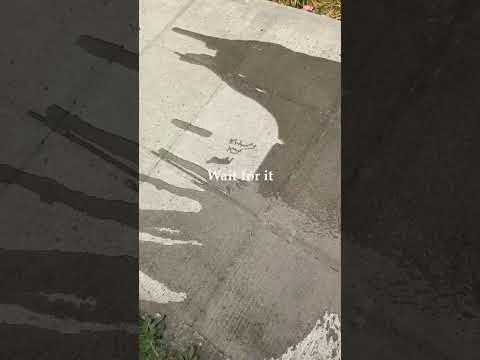 The struggles of making invisible art