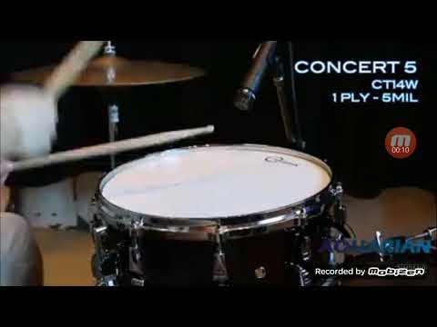 Comparison Rullante: Remo vs Evans vs Aquarian