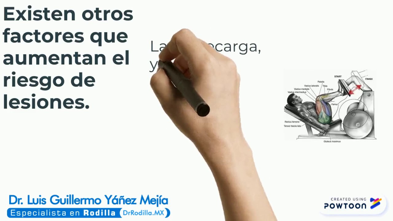 Luis Guillermo Yáñez Mejía-13