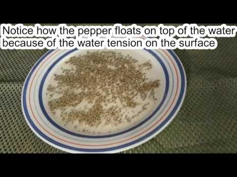 Science Daily - Soap and pepper experiment