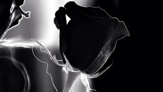 Life&#39;s troubles, hardships &amp; rewards - English Tafseer - Session 160 - The Cow - Verses 156 &amp; 157