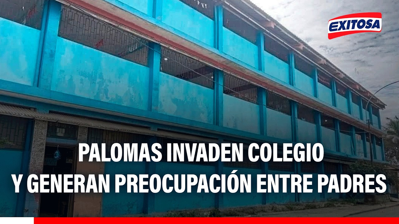 🔴🔵 Familias temen por posibles riesgos para la salud de los escolares