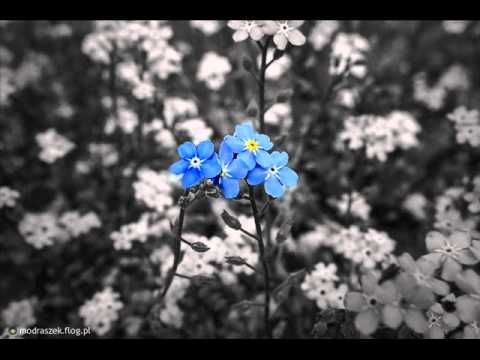 Andrzej Dąbrowski Zapomnij mnie