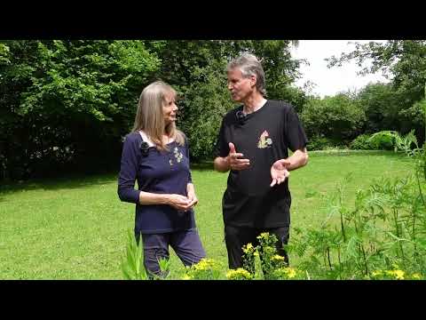 Vorstellung unseres Videokurses "Grundkurs Botanik"