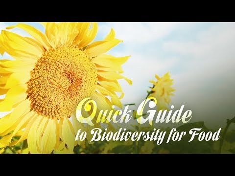 Quick guide to biodiversity for food