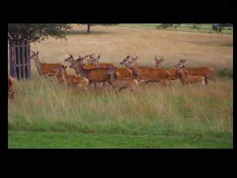 Stuart Pound - This is not a landscape... UK 2008