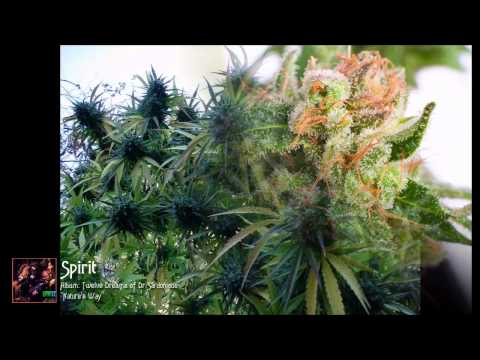 download lagu mp3 mp4 Spirit Twelve Dreams Of Dr Sardonicus, download mp3 Spirit Twelve Dreams Of Dr Sardonicus free downloadn, video klip Spirit Twelve Dreams Of Dr Sardonicus