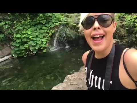 The natural beauty of this spring is only a short 5 minute walk down the trails which depart from the campground or the downtown area.   