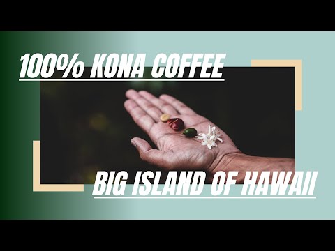 Café 100% Kona | Propriedade unifamiliar | Grande Ilha do Havaí